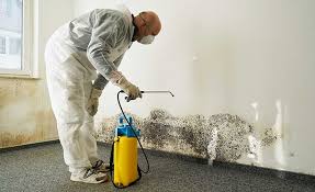 Best Mold Removal for HVAC Installations  in Crockett, TX